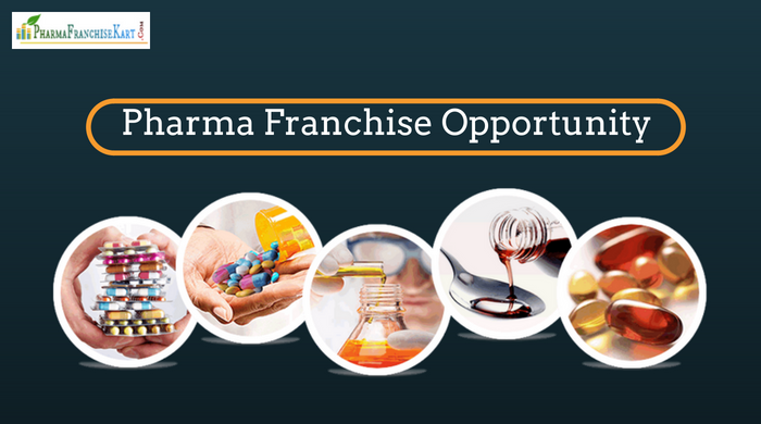 best pharma franchise company
